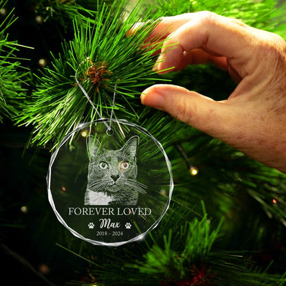 The perfect gift for cat owners, this Personalized Cat Memorial Glass Ornament is a custom personalized pet ornament for Christmas.