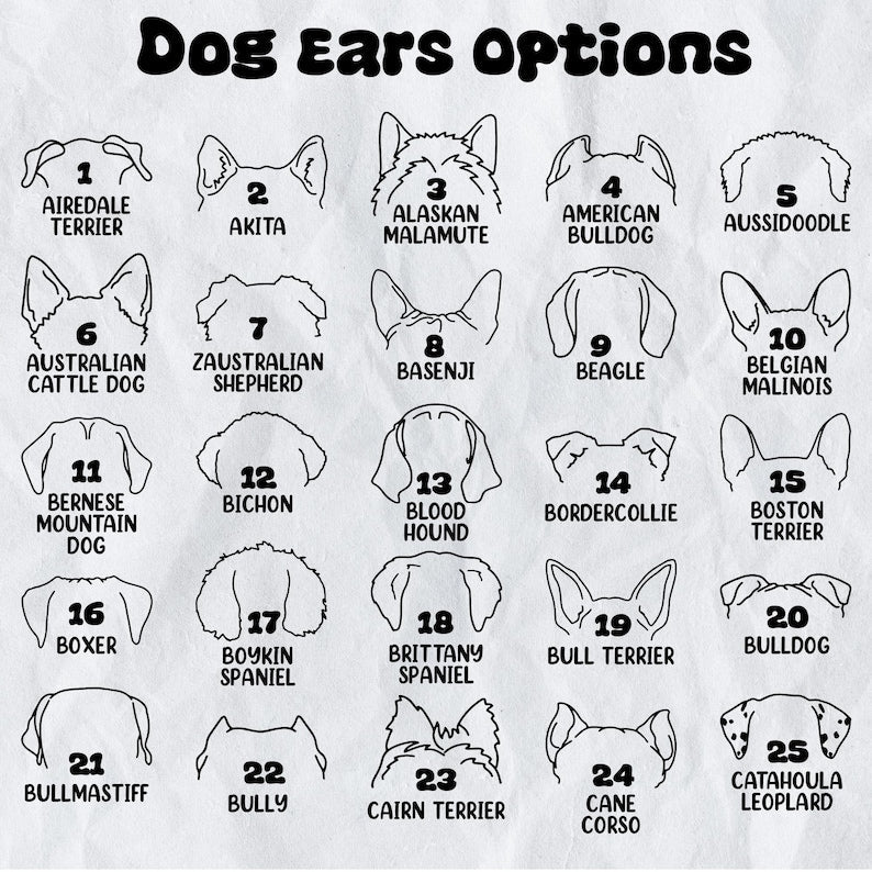 This personalized dog stocking, a Personalized Christmas Stockings for Dog Lovers, is a unique gift for dog owners.