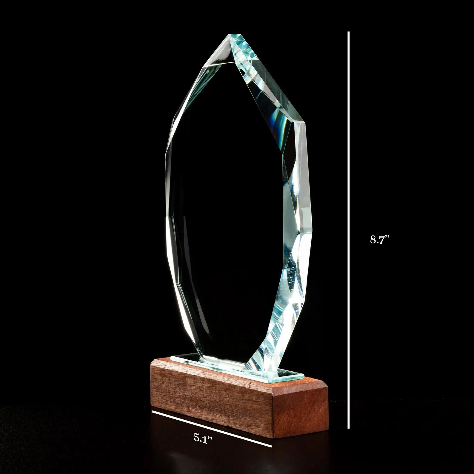 Custom Personalized Respiratory Therapist Crystal Award designed for nurse appreciation gifts and corporate recognition  