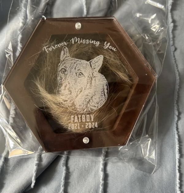 how to memorialize a pet